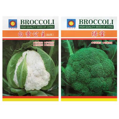 茄子种子绿茄王面包茄子黑圆茄子绿萼长茄新手种植庭院种植 虎窝拼