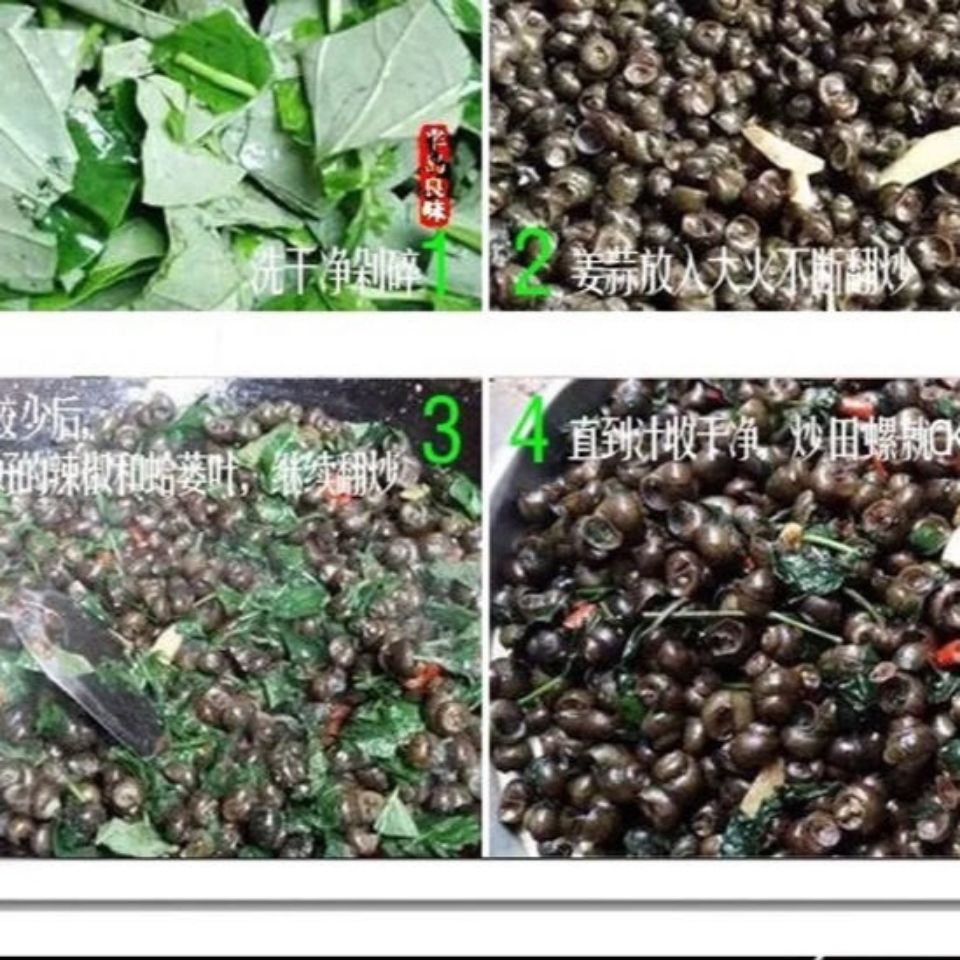 野菜新鲜天然蛤蒌苗假蒌叶苗假蒟苗蒌叶苗青蒌苗臭蒌野菜野生急捞 虎窝拼