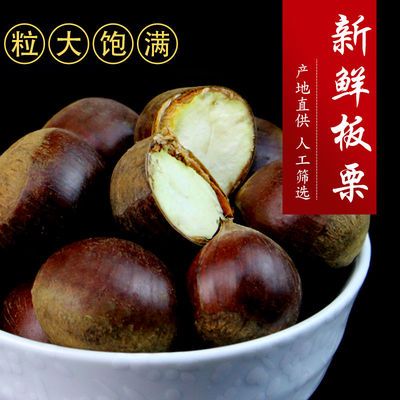 辽宁丹东特产 2020年当年新鲜板栗 大个新板栗生鲜板栗大果