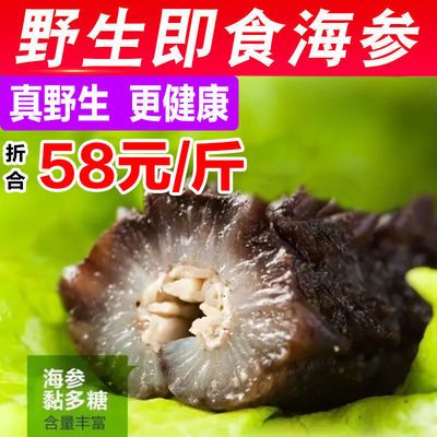 即食海参单个装速食大连海渗辽刺参海生鲜活速食即时海参礼盒