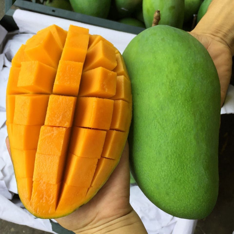 攀枝花吉禄彩芒香甜多汁当季新鲜现摘超大水果带箱包邮