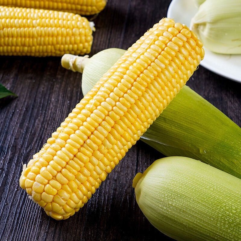 糯玉米和甜玉米是转基因吗 0e5d09d8-4ae0-49a9-b829-f6b2074b83d6.jpeg
