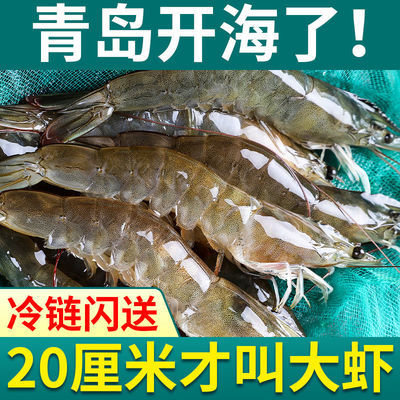 [免单]国产青岛虾一箱大虾鲜活新鲜大虾超大海鲜批发基围虾子冷冻