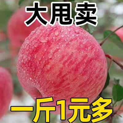 冰糖心红富士苹果当季水果新鲜包邮整箱红富士应季丑苹果3/5/10斤【1月30日发完】