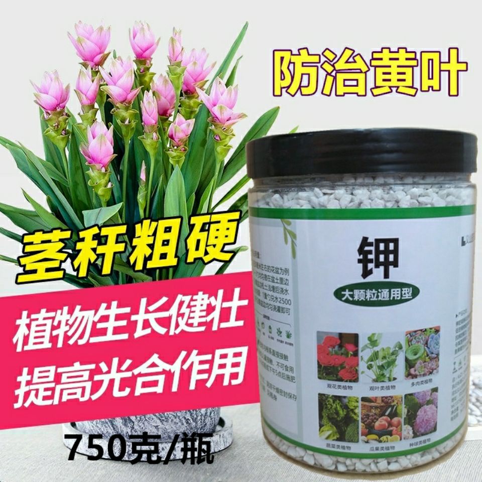 水溶钾肥花卉肥料通用专用花肥速效氮磷钾复合缓释肥蔬菜盆栽肥料