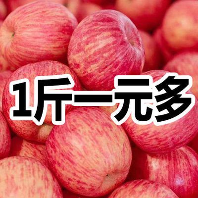 【亏本3000件】红富士苹果陕西当季新鲜冰糖心脆甜苹果水果10斤