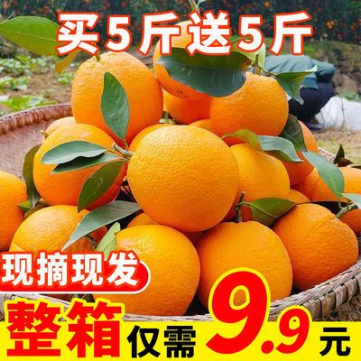 【买5送五】现采高山脐橙子手剥孕妇榨汁非冰糖赣南新鲜水果批发