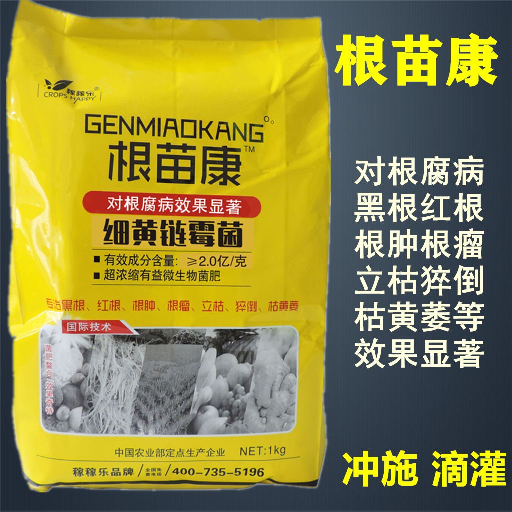 根部病害专用菌剂根腐病茎腐死根烂苗青枯立枯病枯黄萎专用特效药