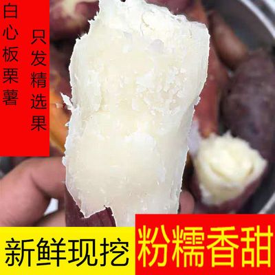 89871/新鲜红薯白心板栗薯番薯地瓜白瓤山芋红皮白心粉糯甜农家2/5/10斤