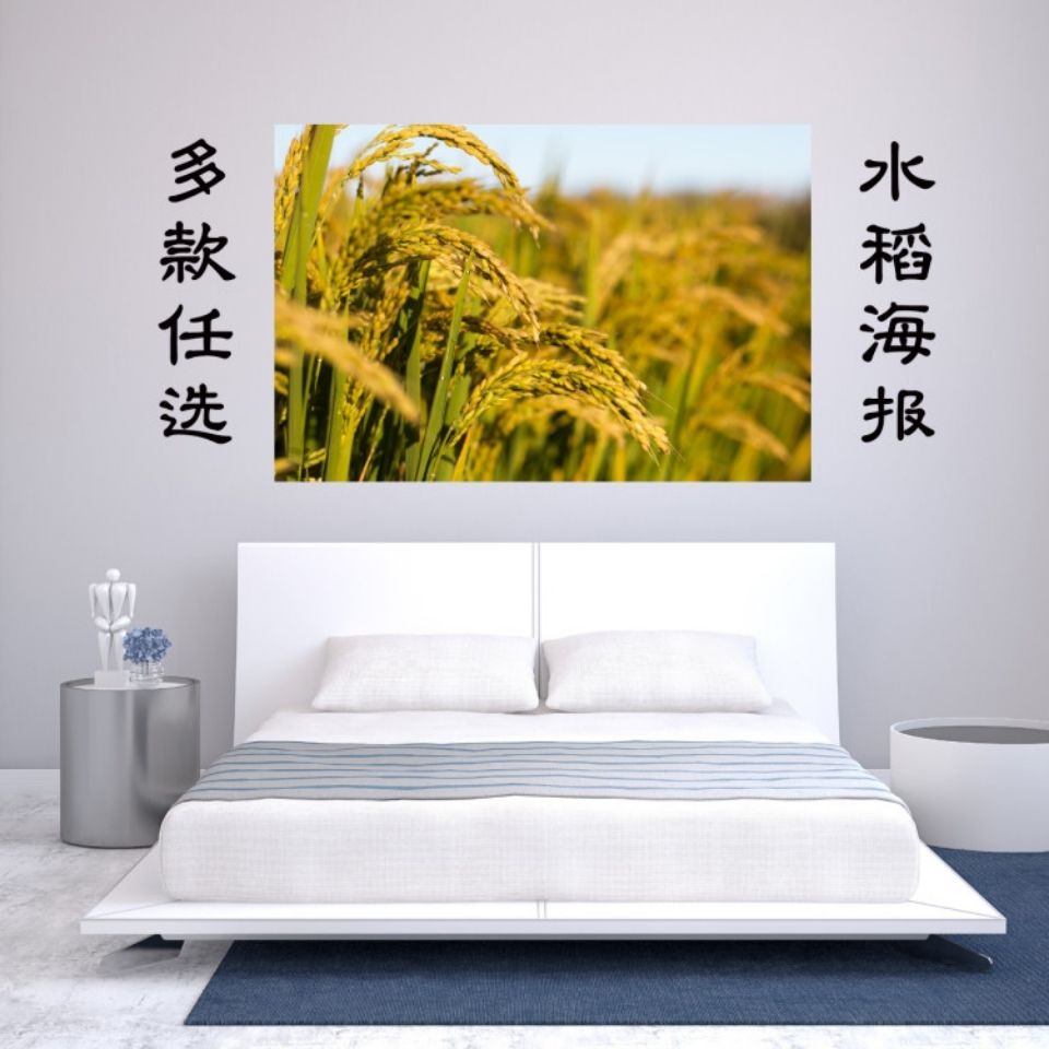 水稻麦田麦穗田园风景海报制作壁画贴画墙画2437