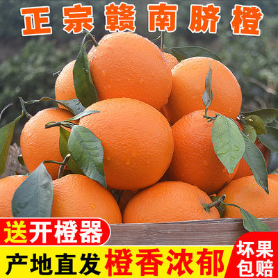 【精品】正宗赣南脐橙江西橙子新鲜水果孕妇手剥橙应季甜脐橙包邮