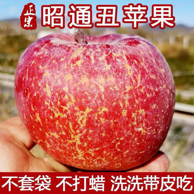 78948/正宗昭邵通丑苹果3-10斤当季新鲜水果冰糖心红富士脆甜整箱批发