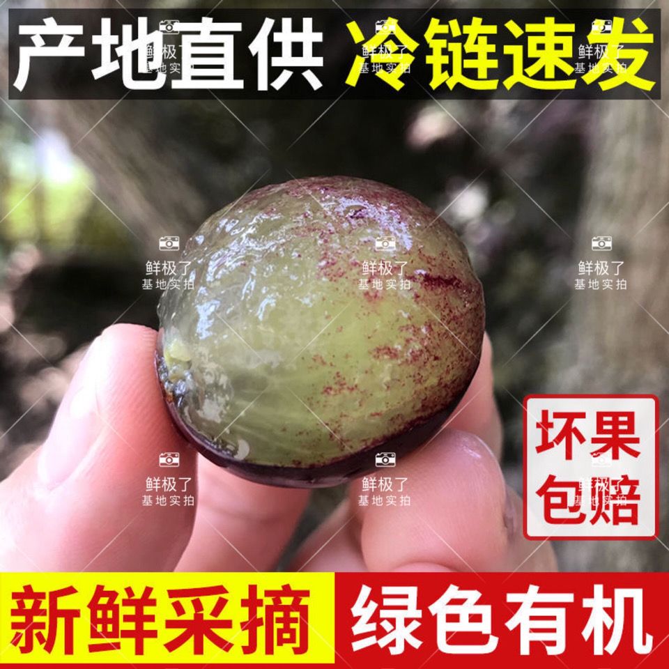 75809-东北巨峰葡萄新鲜水果超甜孕妇儿童水果非夏黑葡萄提子整箱发货-详情图