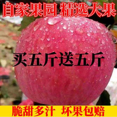 【2020现摘】陕西红富士苹果孕妇儿童冰糖心水果脆甜多汁批发包邮