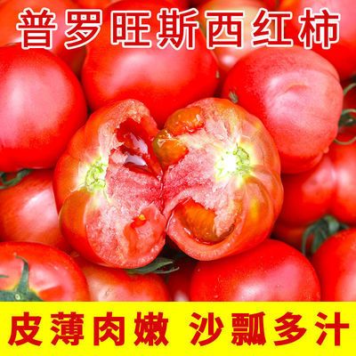 普罗旺斯水果西红柿新鲜生吃自然熟非圣女果极兔现摘大番茄沙瓢