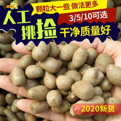 新鲜山药豆3/5/10斤中大号炒糖雪球零食铁棍麻蛋滋补营养农家特产