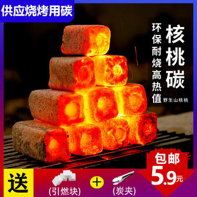 烧烤碳 家用无烟环保易燃耐烧木炭户外专用整箱碳果木炭2斤机制碳