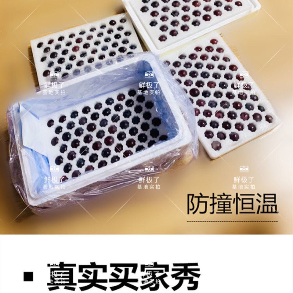 75809-东北巨峰葡萄新鲜水果超甜孕妇儿童水果非夏黑葡萄提子整箱发货-详情图