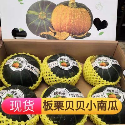 贝贝南瓜板栗贝贝小南瓜  生长于缅甸 香甜糯   浓浓的板栗味