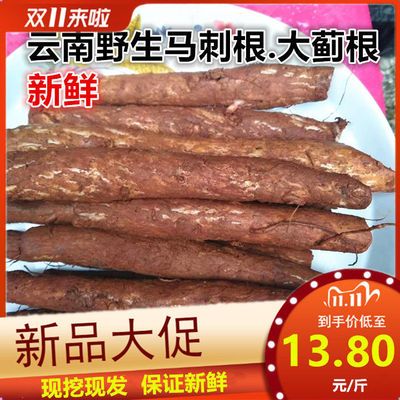 云南特产新鲜马刺根 大蓟根虎蓟农家野生食用野菜山珍综合蔬菜干【2月20日发完】