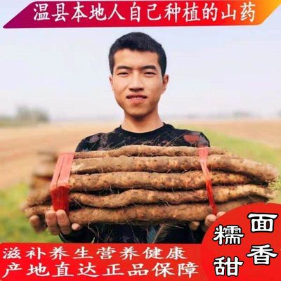温县垆土铁棍山药正宗河南焦作新鲜淮山怀山药铁杆山药 5斤装包邮优惠商品图片