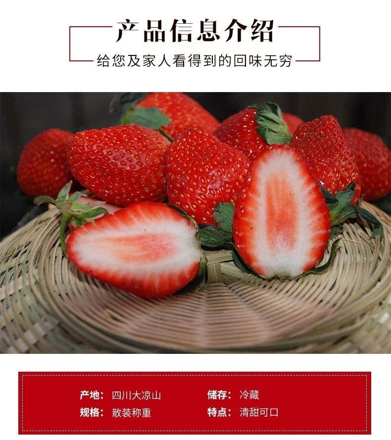 泰初源 新鲜牛奶草莓水果当季红颜奶油草莓一件代发