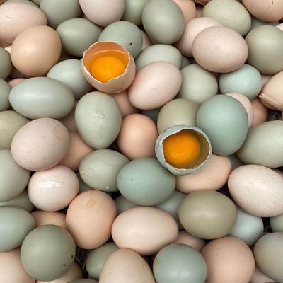 【新店冲量】农家散养土鸡蛋正宗乌鸡蛋绿壳蛋混合装新鲜整箱批发