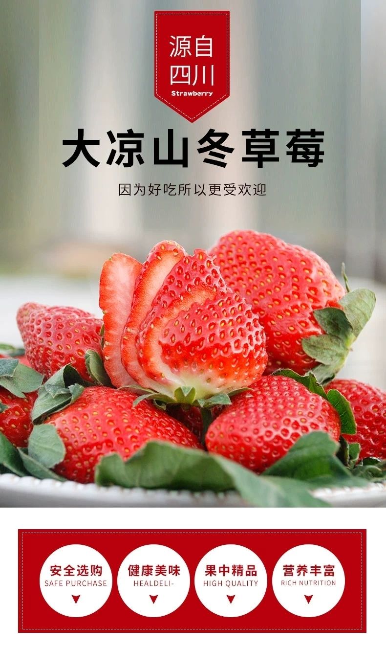 泰初源 新鲜牛奶草莓水果当季红颜奶油草莓一件代发