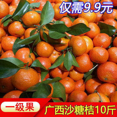 正宗广西沙糖桔水果薄皮1/10斤桔子砂糖橘小橘子新鲜甜柑橘砂糖桔