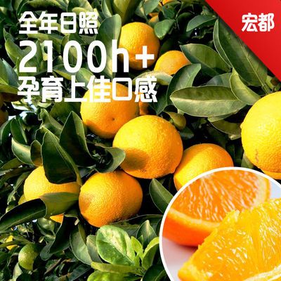 宏都 甜橘柚应季赣州脐橙现摘现发新鲜孕妇儿童可食橘柚果园直发