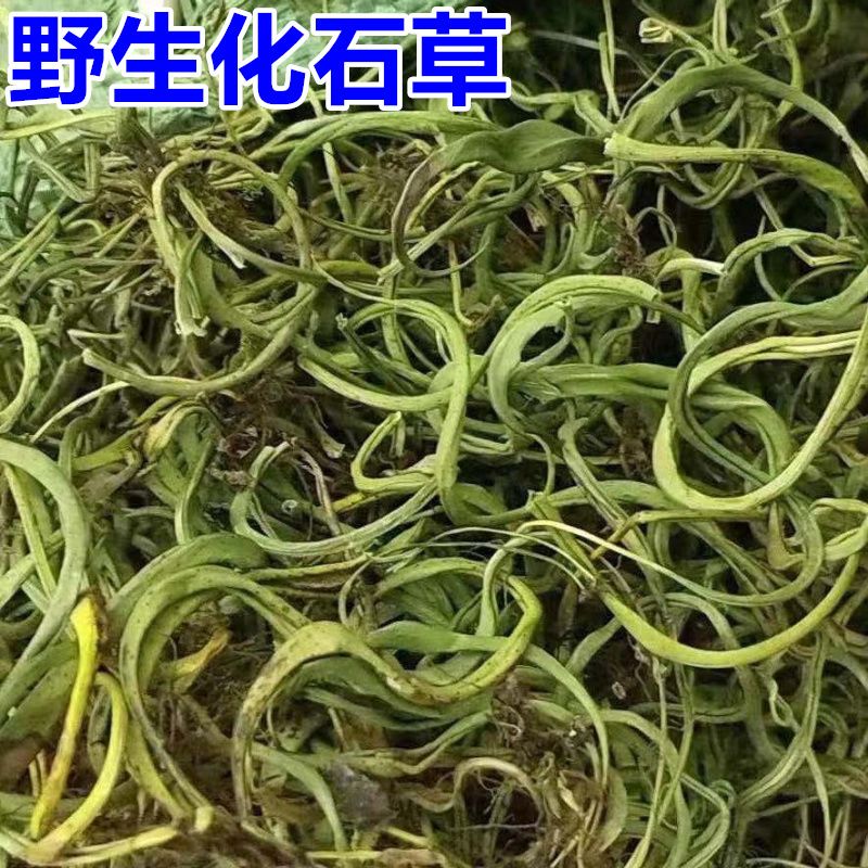 云南野生化石草包邮肾精草化石草茶新货正宗化石草【3月10日发完】