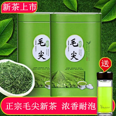 毛尖茶2023新茶浓香型雨前春茶叶毛尖绿茶叶新茶125g-500g礼罐装