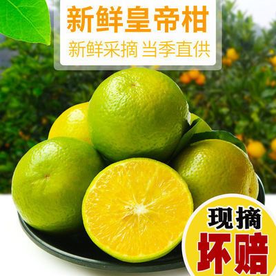 广西皇帝柑大果新鲜水果包邮整箱蜜桔橘子贡柑砂糖桔子3/5/10斤