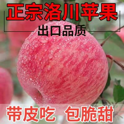 【直播选果】正宗陕西洛川红富士苹果10斤装脆甜应季新鲜水果批发