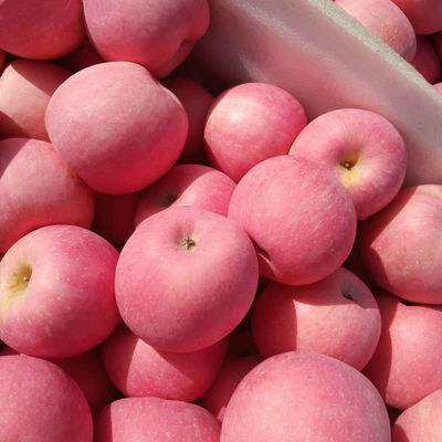 脆甜红富士苹果水果新鲜 应季水果批发 一整箱当季孕妇水果