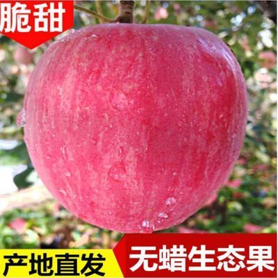 山西红富士应季苹果3斤/5斤/10斤新鲜水果当季脆甜爽口冰糖心带箱
