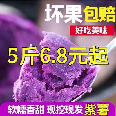 农家沙地紫薯地瓜新鲜红薯蜜薯番薯山芋批发2-10斤香甜小紫薯