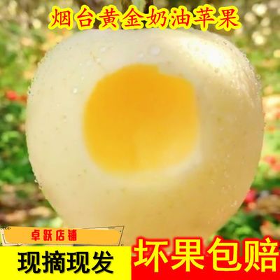脆甜多汁奶油富士苹果萍新鲜吃的水果糖心非黄金维纳斯烟台苹果