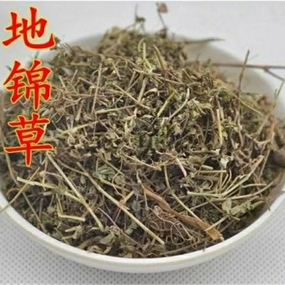 新货干地锦草 血见愁 奶汁草 小飞扬草10g/1000g自家采晒【3月12日发