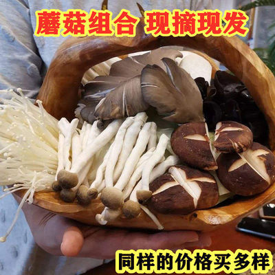 【鲜蘑菇组合】金针菇杏鲍菇海鲜菇蟹味菇白玉菇营养新鲜蔬菜菌菇