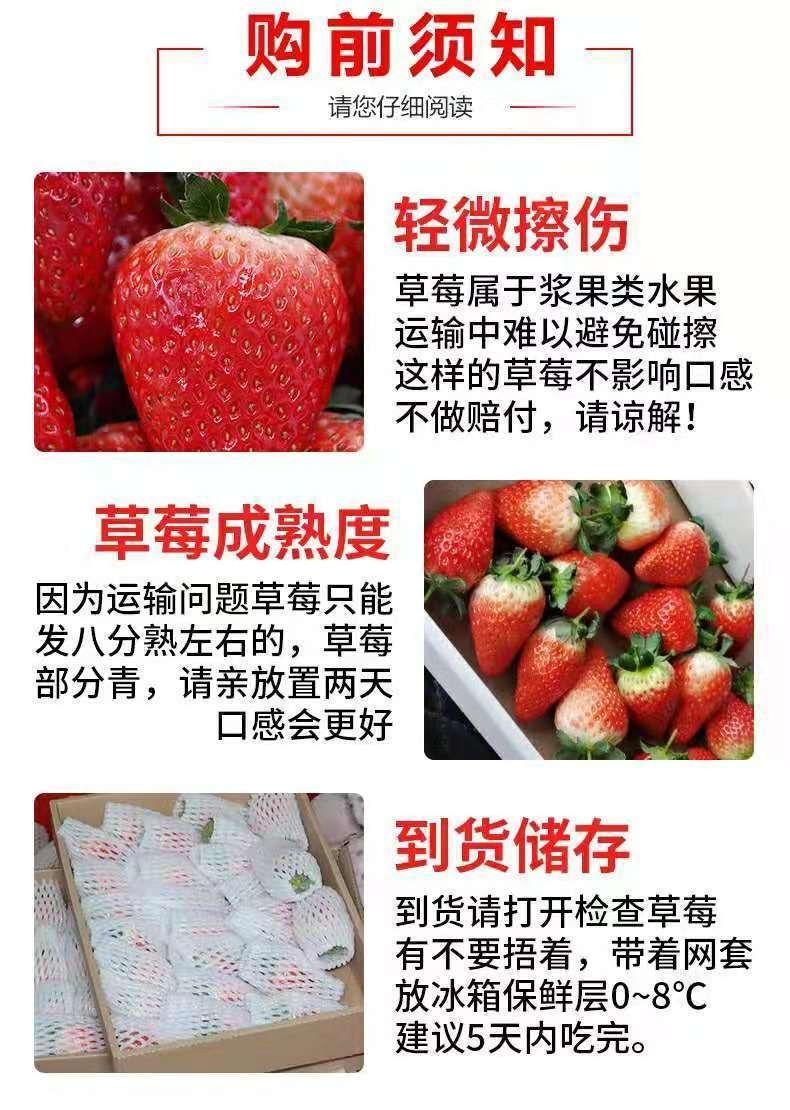 泰初源 新鲜牛奶草莓水果当季红颜奶油草莓一件代发
