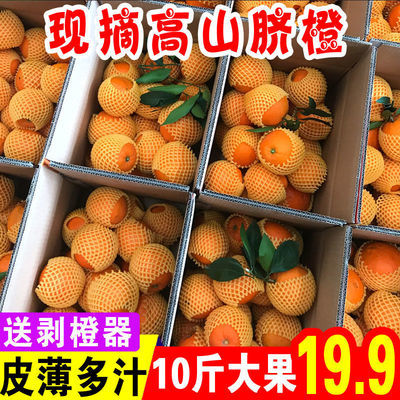 橙子薄皮蜜橙当季新鲜水果秭归脐橙应季水果孕妇水果3/5/9斤包邮