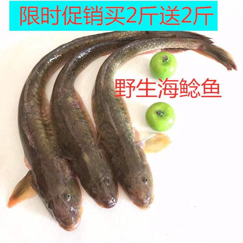 海鲜鲜活野生沙光鱼冷冻新鲜小龙鱼海鲶鱼深海水产海鱼类