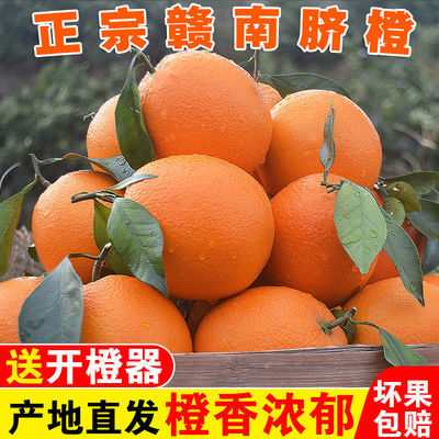 【正宗赣南脐橙】水果橙子果园江西水果新鲜应季水果(送剥橙器)