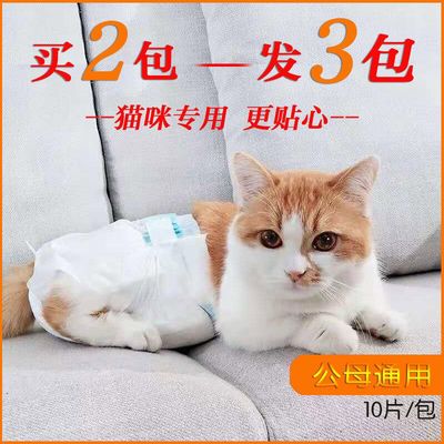 猫咪纸尿裤生理裤尿不湿公猫发情母猫一次性卫生裤猫尿不湿外出