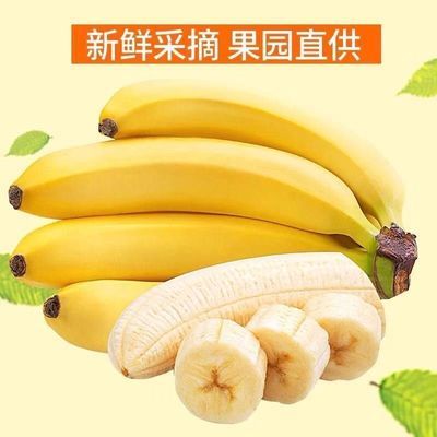 云南香蕉自然熟现砍当季新鲜水果果园直销批发包邮
