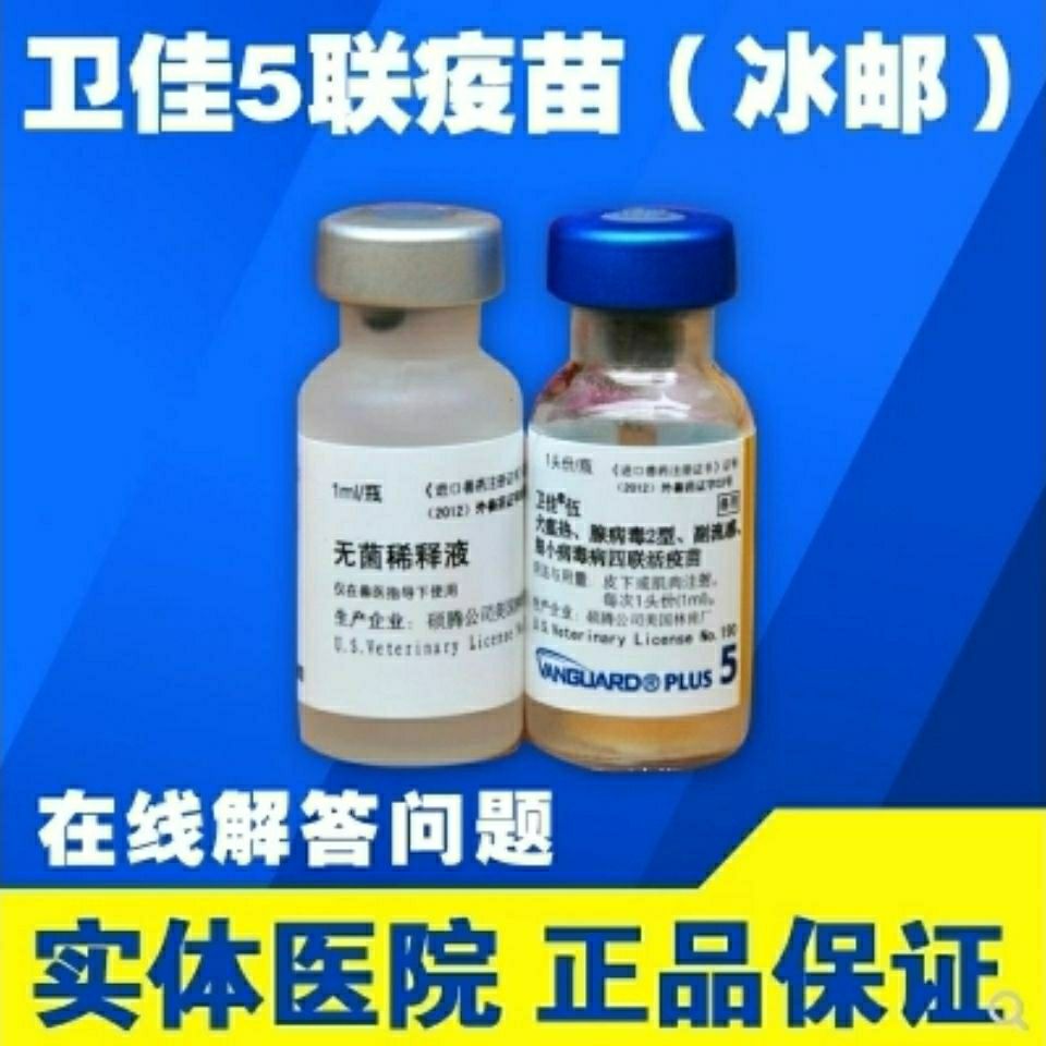 美国辉瑞卫佳伍宠物进口硕腾疫苗四联狗犬防疫针防犬瘟一头份【2月16