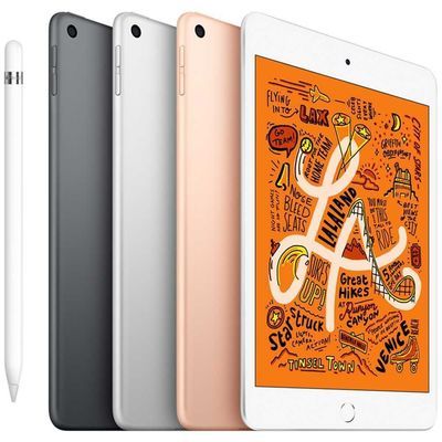 【全国联保】Apple/苹果 iPad mini5 7.9英寸 平板电脑wifi版