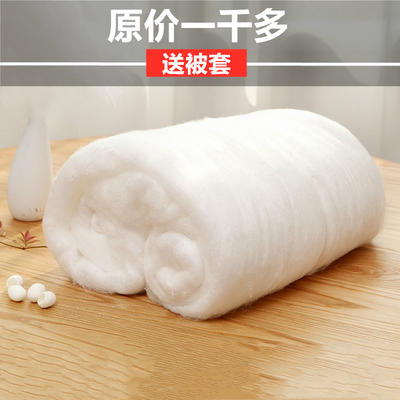 【送被套】桐乡蚕丝被100%桑蚕丝被冬季冬被春秋被芯酒店四季被芯