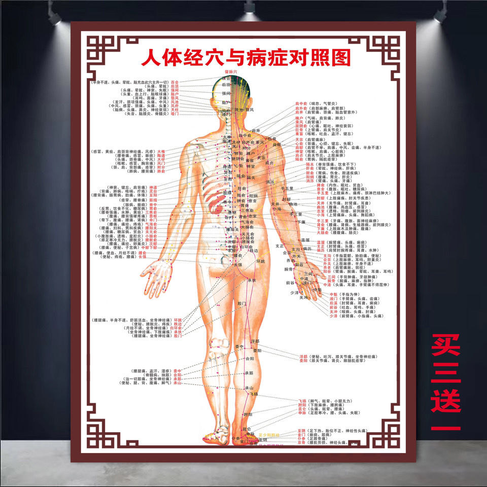 人体穴位图 全身图 中医针灸艾灸拔罐养生十二经络穴位海报大挂图